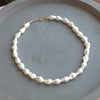 Whispering Dunes Shell Pearl Necklace